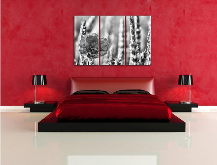 Pixxprint Mohnblume im Kornfeld als Leinwandbild/Grösse: 3 Teilig (120x80) cm/Wandbild/Kunstdruck/fe