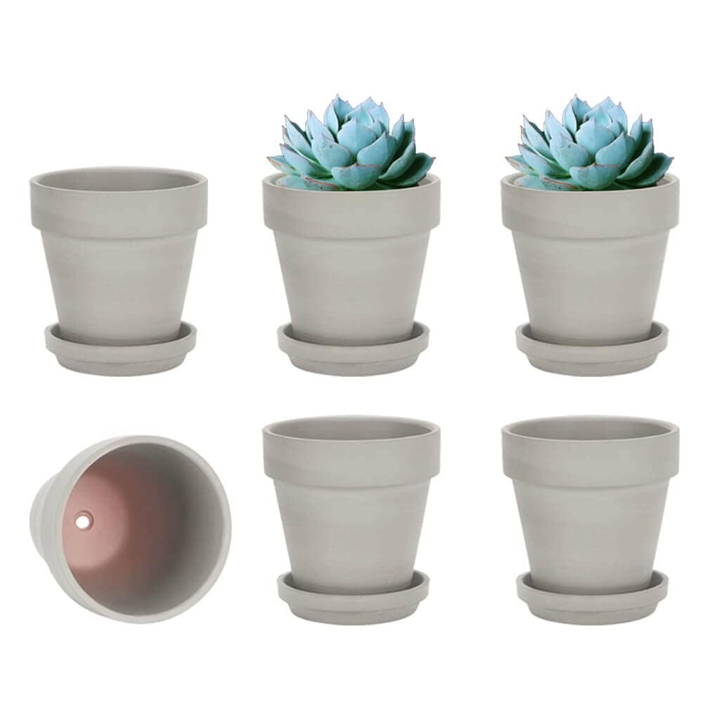 vensovo 10,2cm Grauer Tontopf für Pflanzen mit Untertasse - 6er Pack Kleiner Terrakotta-Pflanzentopf
