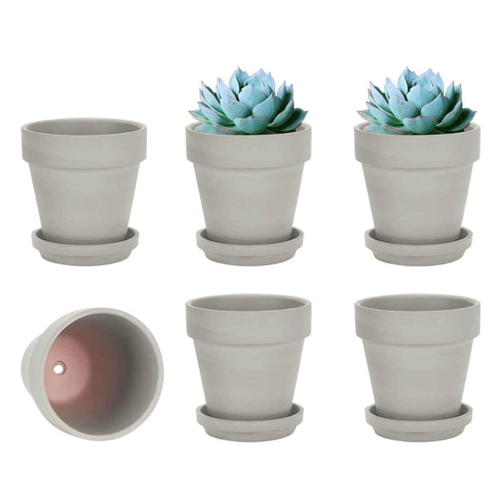 vensovo 10,2cm Grauer Tontopf für Pflanzen mit Untertasse - 6er Pack Kleiner Terrakotta-Pflanzentopf