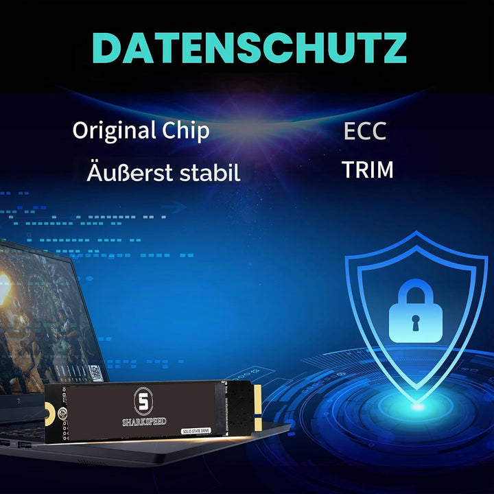 SHARKSPEED SSD 256GB Festplatte Intern Upgrade für MacBook Air 2012 A1465 A1466 EMC2558 EMC2559 (Mac