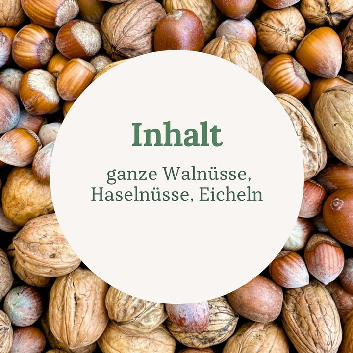 Orni Artgerechter Nüsse Mix für Eichhörnchenfutter 1kg | Futter für Eichhörnchen mit Haselnüsse, Wal