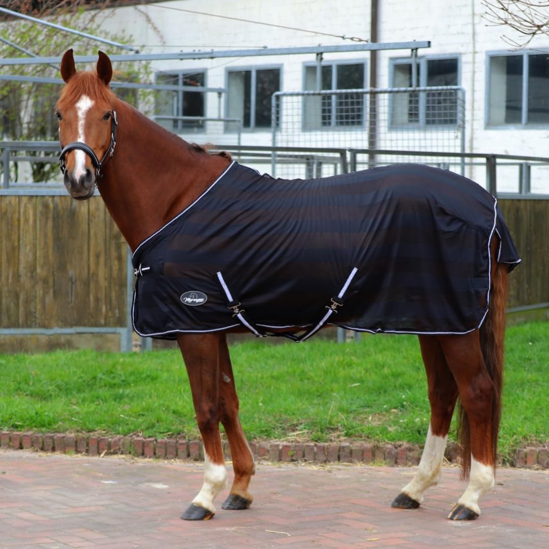 Marengos - Fliegendecke mit Kreuzgurt Economic | Schutz vor Insekten & Plagegeistern | Ekzemerdecke