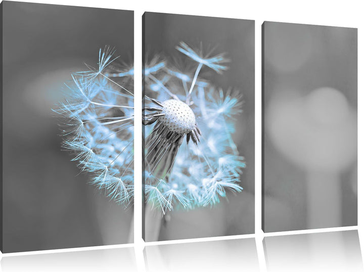 Pixxprint Schöner weisser Löwenzahn als Leinwandbild/Grösse: 3 Teilig (120x80) cm/Wandbild/Kunstdruc