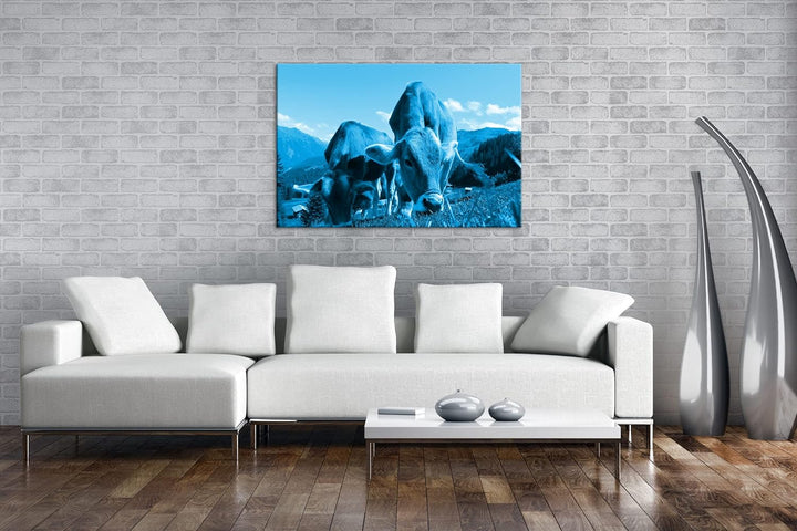 deyoli friedliche Kühe auf einer Weide in Österreich Format 80x60 Effekt: Monocrome Blau als Leinwan