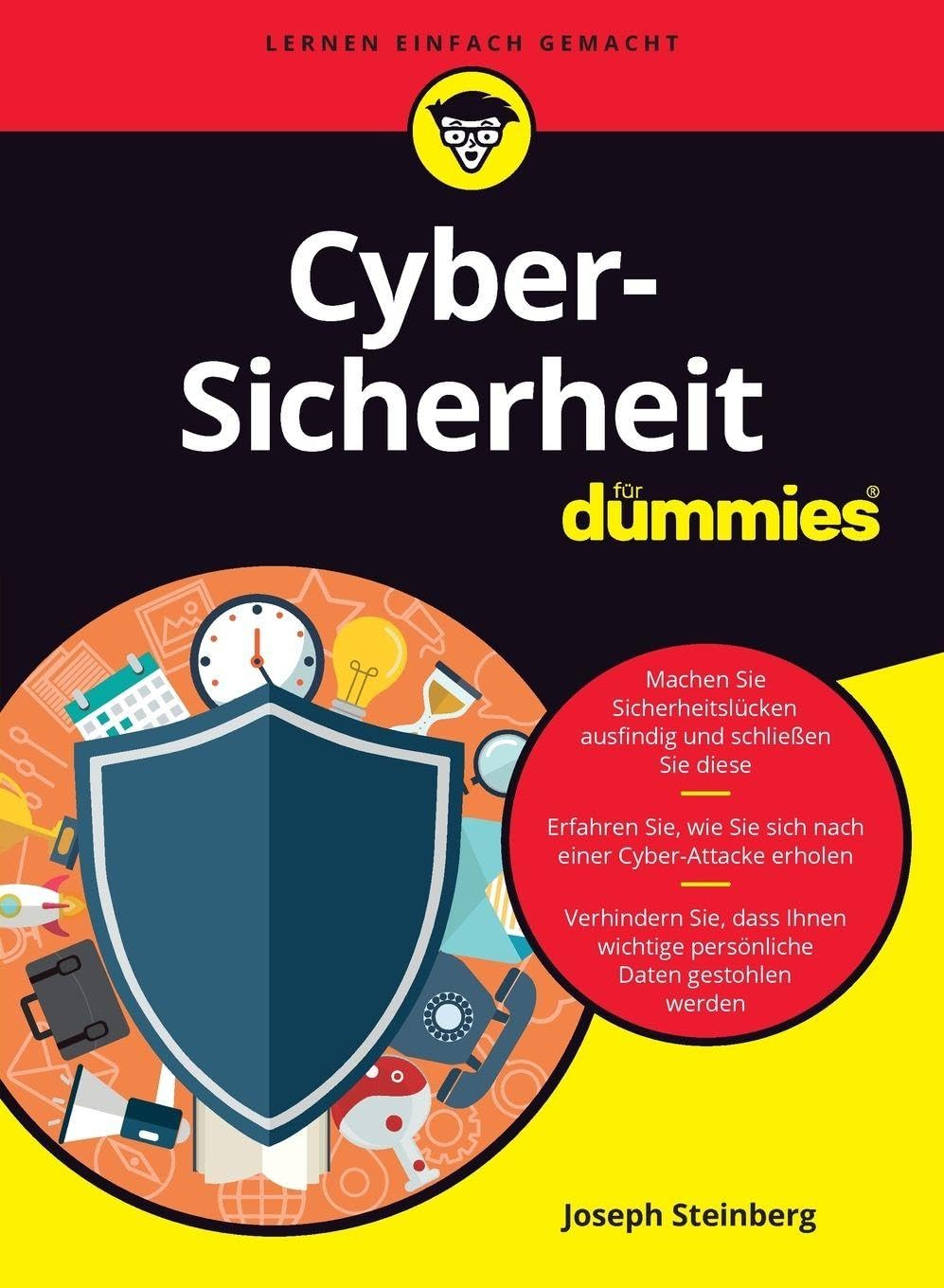 Cyber-Sicherheit für Dummies, Taschenbuch