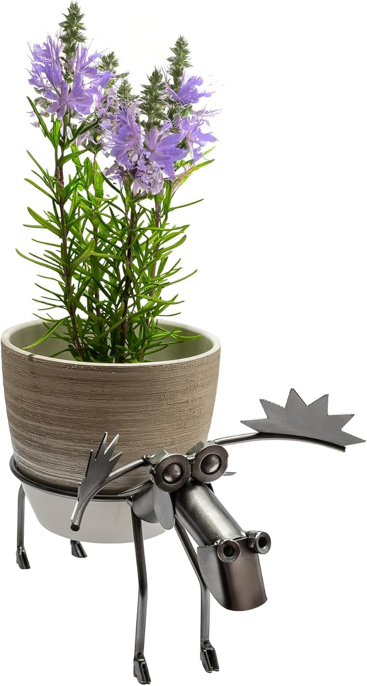 STEEMO Blumentopfhalter Küchenkräuter Elch - für Blumentöpfe mit ca. 12 cm Durchmesser