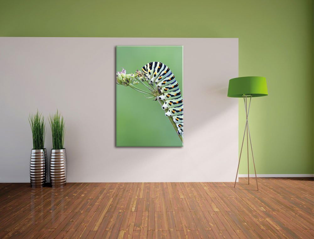 Pixxprint Grüne Raupe auf AST Insekten Urwald Tiere, Format: 100x70 auf Leinwand, 100x70