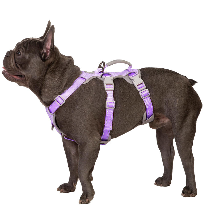 Huntboo Sicherheitsgeschirr Hund Ausbruchsicher, Panikgeschirr für Hunde, Reflektierendes Geschirr m