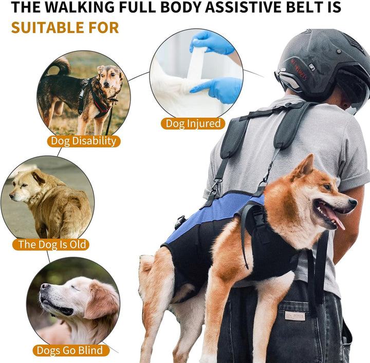 PETCUTE Hunde-Tragegeschirr,Hundegeschirr-Rucksack für grosse Hundes,Ganzkörpergeschirr mit Griff,Ve
