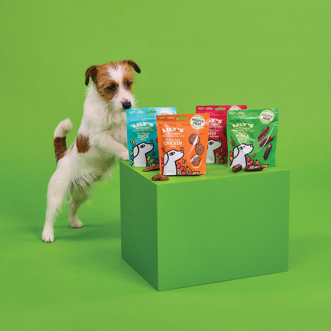 Lily’s Kitchen Leckerchen für ausgewachsene Hunde 8er Pack (8 x 70 g) Mini Burgers mit 80 % Rind