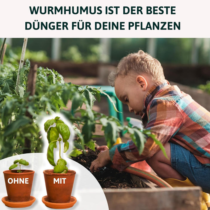 1l Wurmvase aus Ton | Mini Wurm Komposter zum eingraben, 1L