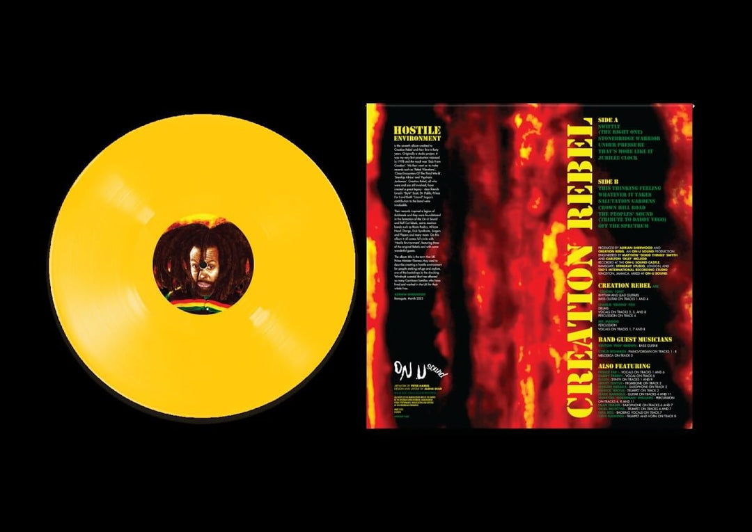 Hostile Environment, Vinyl