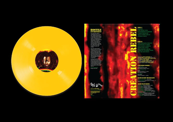 Hostile Environment, Vinyl