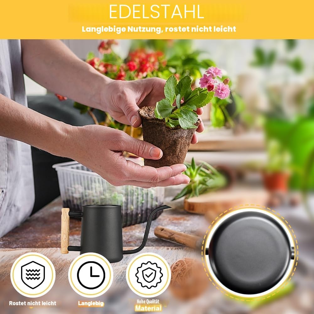 LPAMABA 1L Indoor Giesskanne Edelstahl Giesskanne Klein GiesskanneGiesskanne für Zimmerpflanzen Sukk