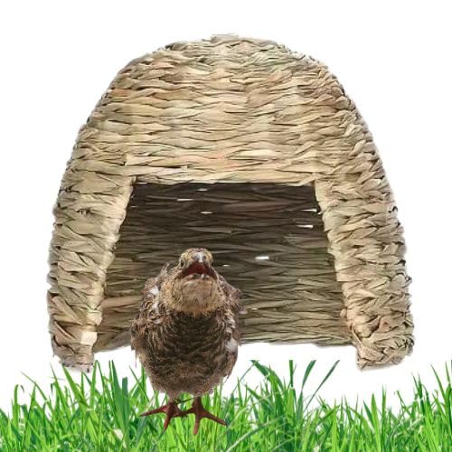 Gras-Iglu XL
