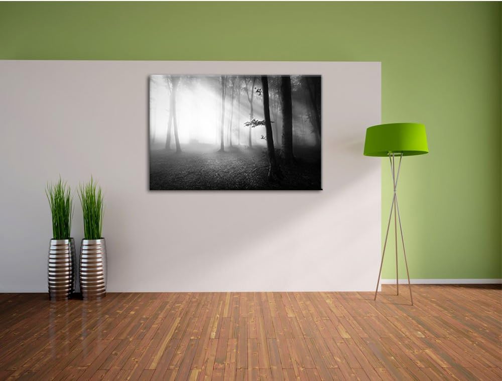 Pixxprint Düsterer Wald im Nebel Schwarz/Weiss, Format: 100x70 auf Leinwand, 100x70