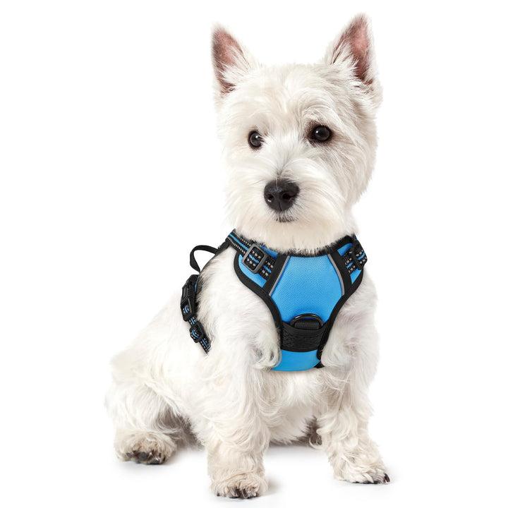rabbitgoo Hundegeschirr Kleine Hunde, Anti Zug Geschirr mit Kontrolle, No Pull Verstellbar Hundegesc