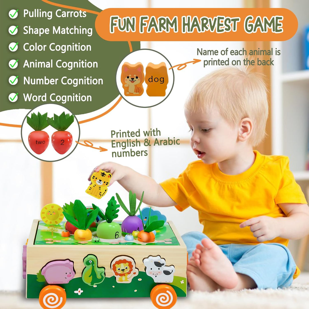 MutoToy® Montessori Spielzeug ab 1 Jahr, 6 in 1 Multifunktionale Holzspielzeug ab 1 2 3 Jahr Kinder,