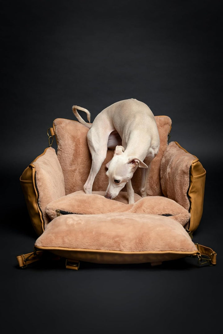 Noah & Paw Siège Auto für Hund, siège klein Hund und Tiere klein à mittel Grösse mit Clip harnais, S
