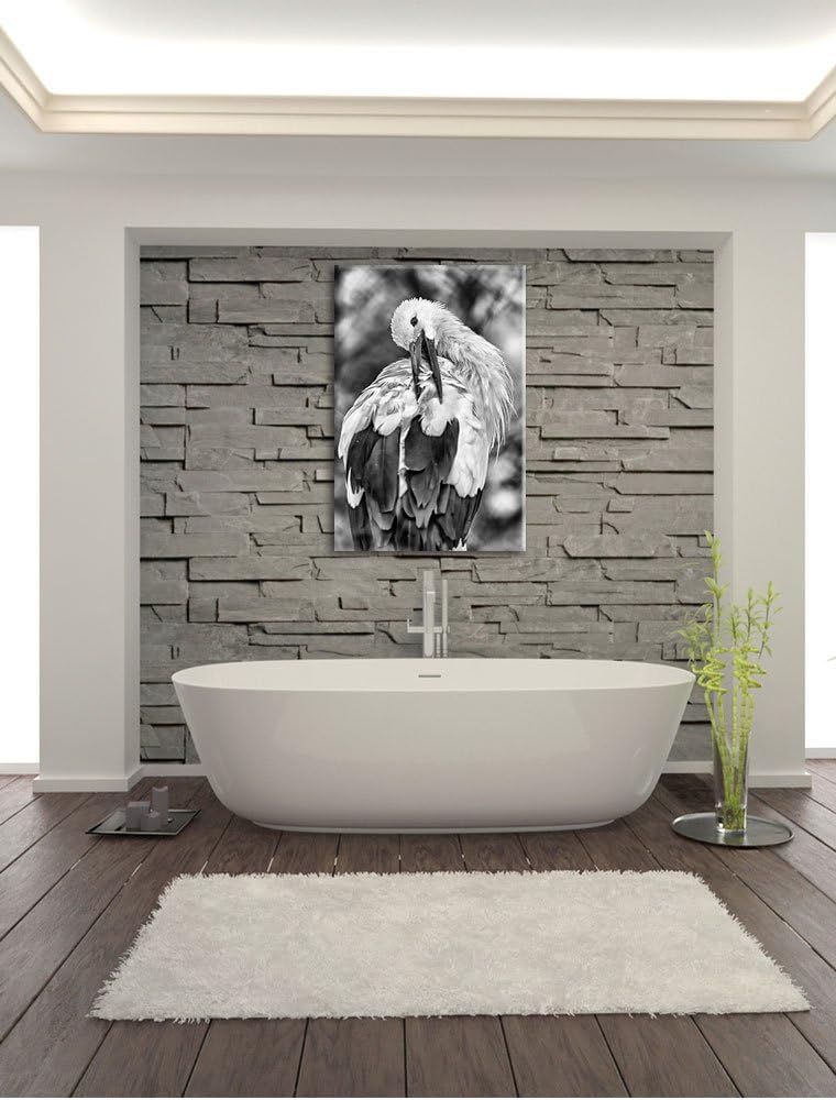 Pixxprint Storch putzt Sich als Leinwandbild/Grösse: 100x70 / Wandbild/Kunstdruck/fertig bespannt, 1
