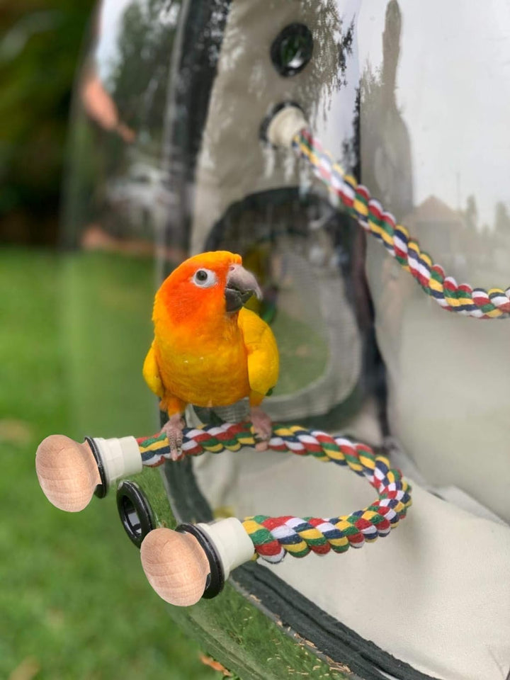 SOURCER Rucksack für Vögel, Bubble Bird Travel Carrier Rucksack mit Edelstahl-Tablett und Stehstange