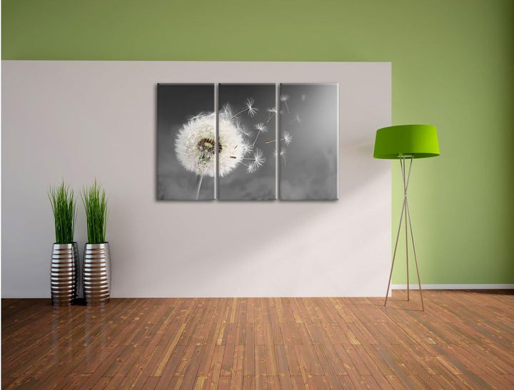 Pixxprint Löwenzahn Samen als Leinwandbild | Grösse: 3 Teilig (120x80) | Wandbild| Kunstdruck | fert