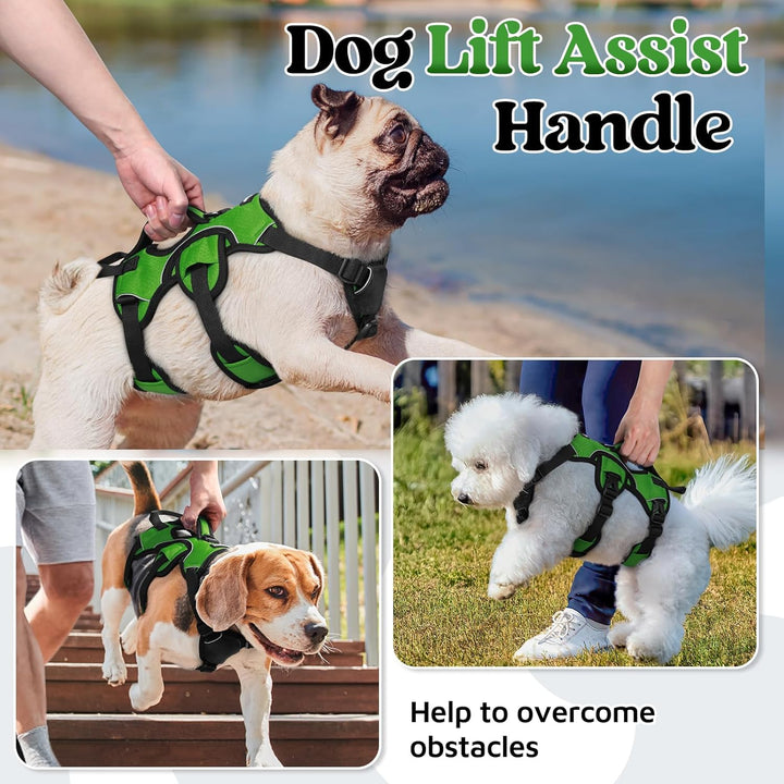 rabbitgoo Ausbruchsichere Hundegeschirr Kleine Hunde mit Griff, Anti Zug Sicherheitsgeschirr Hund At