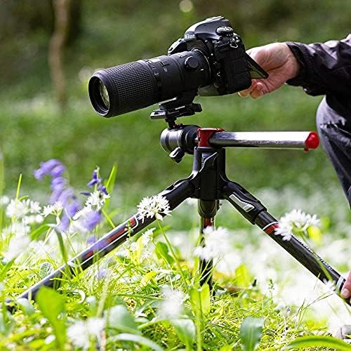 Manfrotto Befree GT XPRO Aluminium Kamerastativ,496 Kugelkopf, Twist Lock-System, 90-Grad, 200PL-PRO