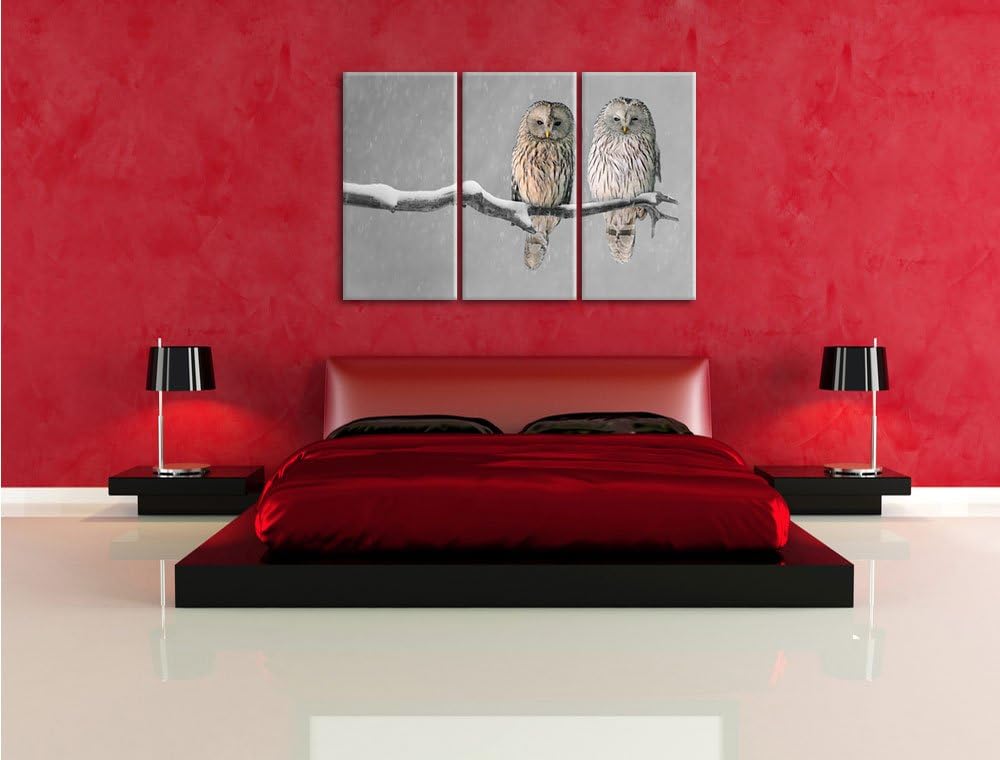 Pixxprint Zwei Eulen in Winterlandschaft als Leinwandbild | Grösse: 3 Teilig (120x80) | Wandbild| Ku