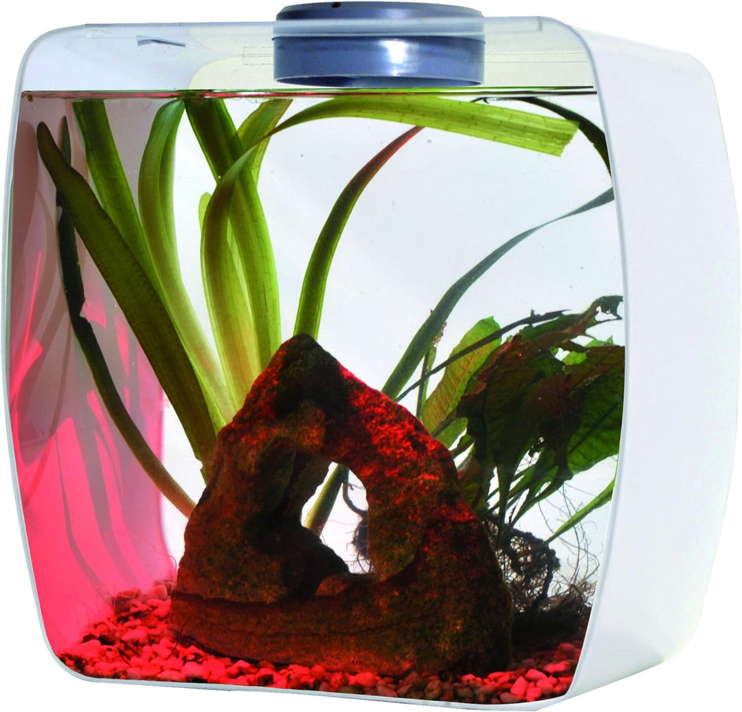 Lucky Reptile LB-30W Life Box 30 Designterrarium aus Acrylglas, weiss weiss klein, weiss klein