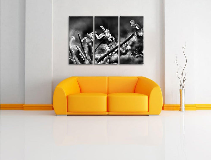 Pixxprint Wiesenblumen Morgentau / 3-Teilig/Gesamtmass 120cm Leinwandbild bespannt auf Holzrahmen/Wa
