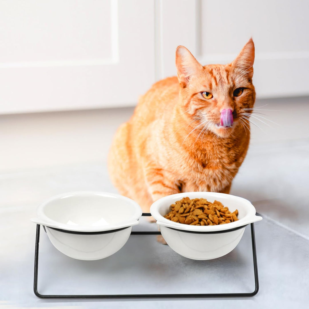 Futternapf Katze Keramik,Katzennapf Aus Keramik Erhöhter Zervixschutz-Katzennapf Katzenschnurrhaaral