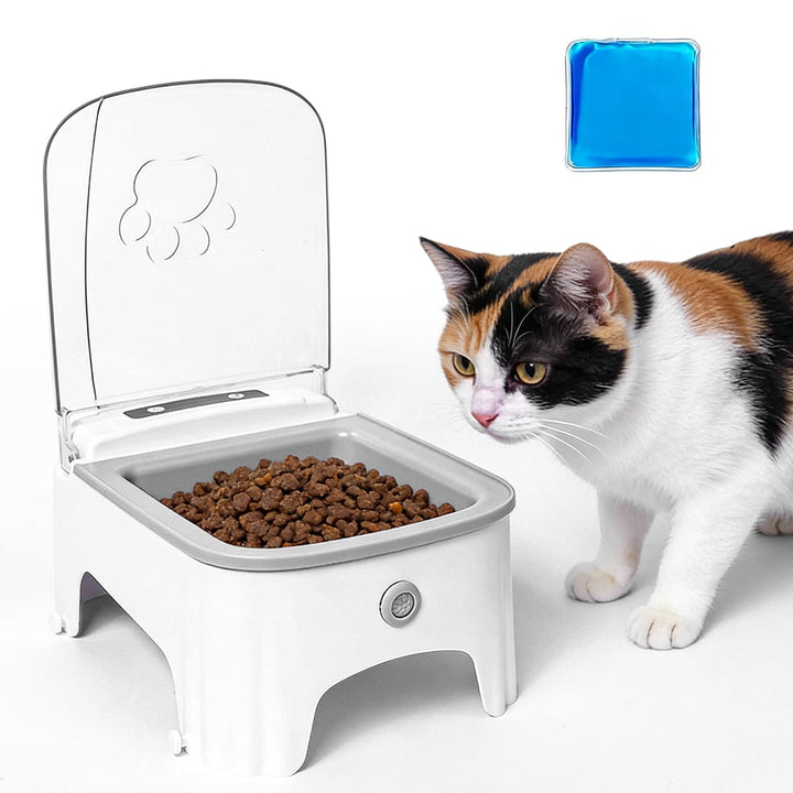 Automatischer Infrarot-Sensor Futternapf, 500ml Futterautomat Katze Mit Sensor Und 99 Stunden Timer,