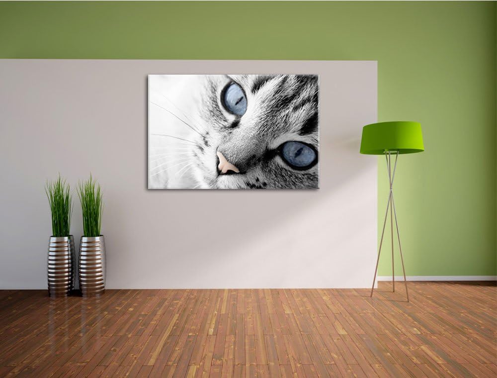 schöne Katzenaugen schwarz/weiss Format: 100x70 auf Leinwand, XXL riesige Bilder fertig gerahmt mit