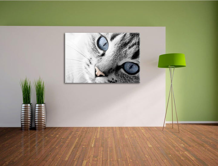 schöne Katzenaugen schwarz/weiss Format: 100x70 auf Leinwand, XXL riesige Bilder fertig gerahmt mit