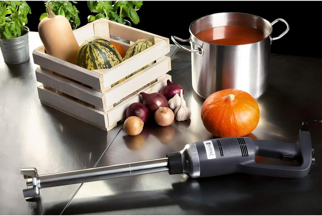 Royal Catering RCSM-350-400P Stabmixer Pürierstab Zauberstab (ergonomischer Griff, 350W, 6.000-18.00