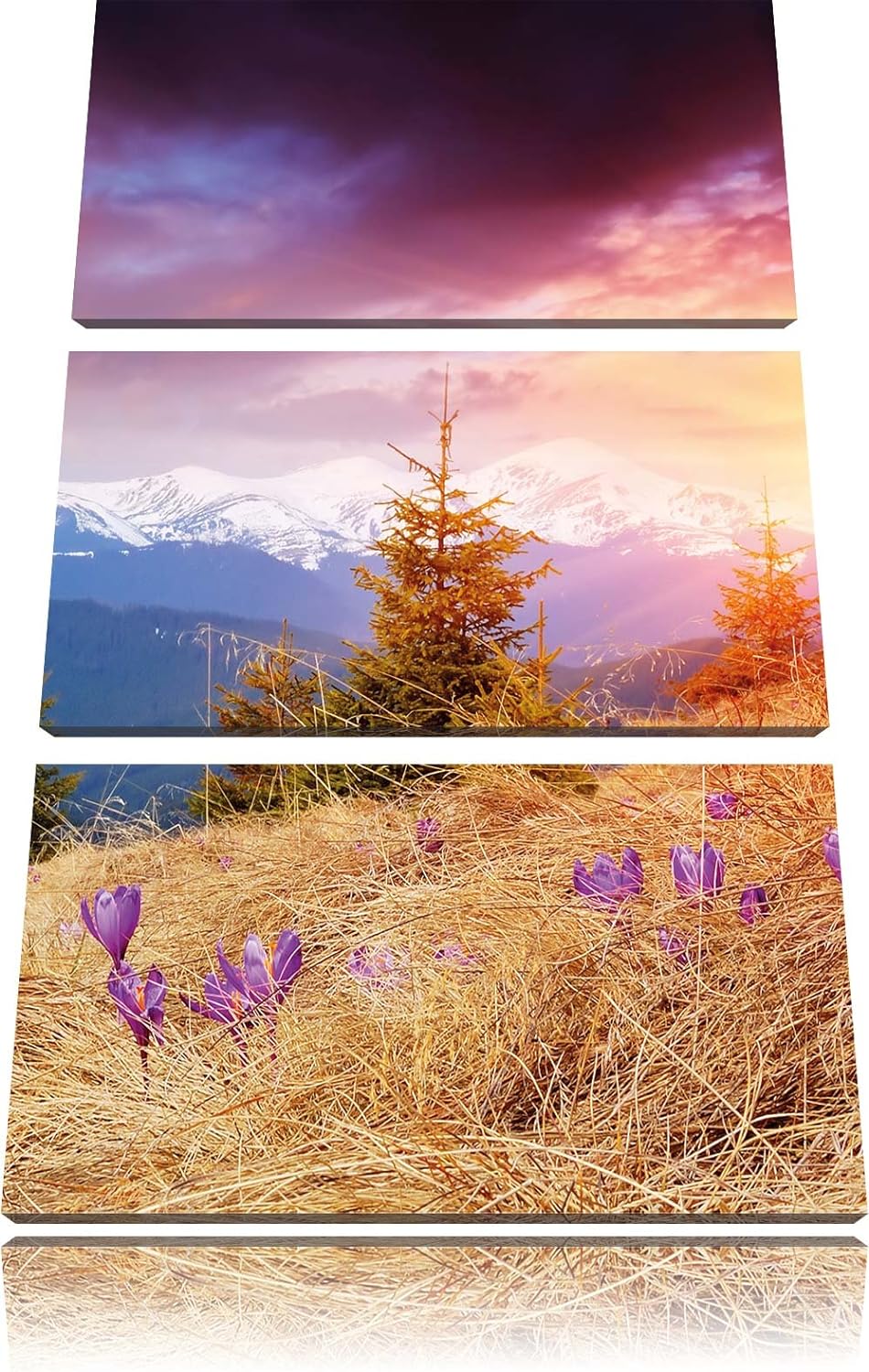 Pixxprint Krokusse auf Hochalmwiese in Alpen 3-Teiler Leinwandbild 120x80 Bild auf Leinwand