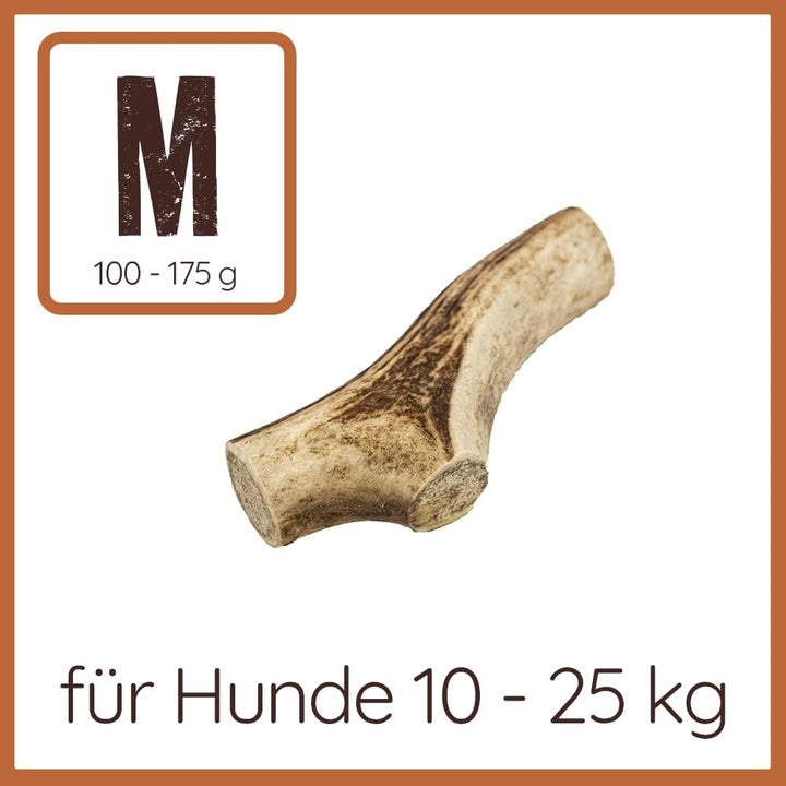 Wildfang® Rothirsch Geweih mit Lachsöl für Hunde I Natürlicher Hunde Kauknochen - Zahnpflege - Kaumu