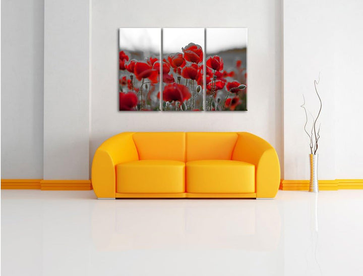 Pixxprint Feuriger Mohn als Leinwandbild | Grösse: 3 Teilig (120x80) | Wandbild| Kunstdruck | fertig