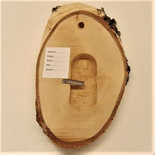 3 Stück Birke Schilder Trophäenschilder REH Rehbock Geweih Baumscheibe Baumschild Natur Holz modern