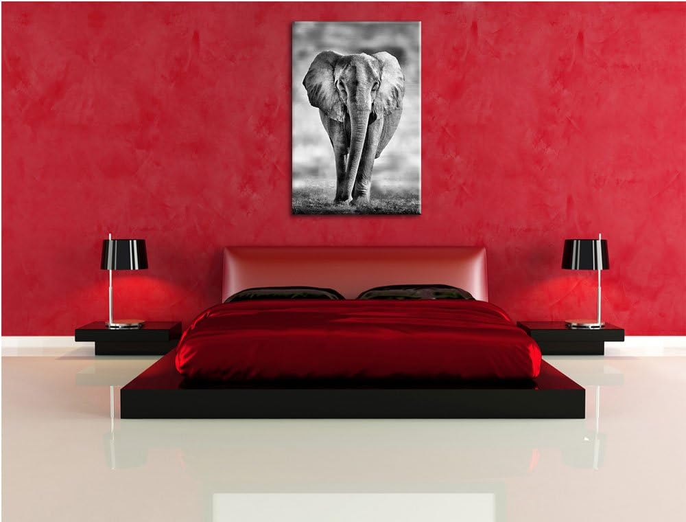 Pixxprint Elefant in Savanne als Leinwandbild/Grösse: 100x70 cm/Wandbild/Kunstdruck/fertig bespannt,