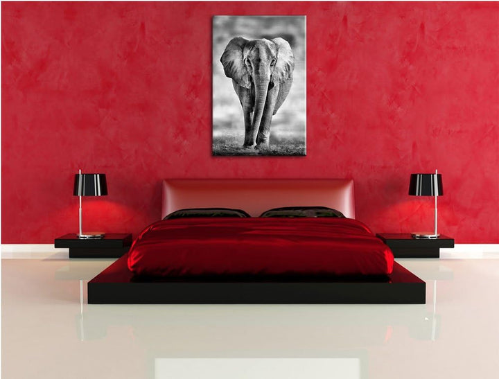 Pixxprint Elefant in Savanne als Leinwandbild/Grösse: 100x70 cm/Wandbild/Kunstdruck/fertig bespannt,