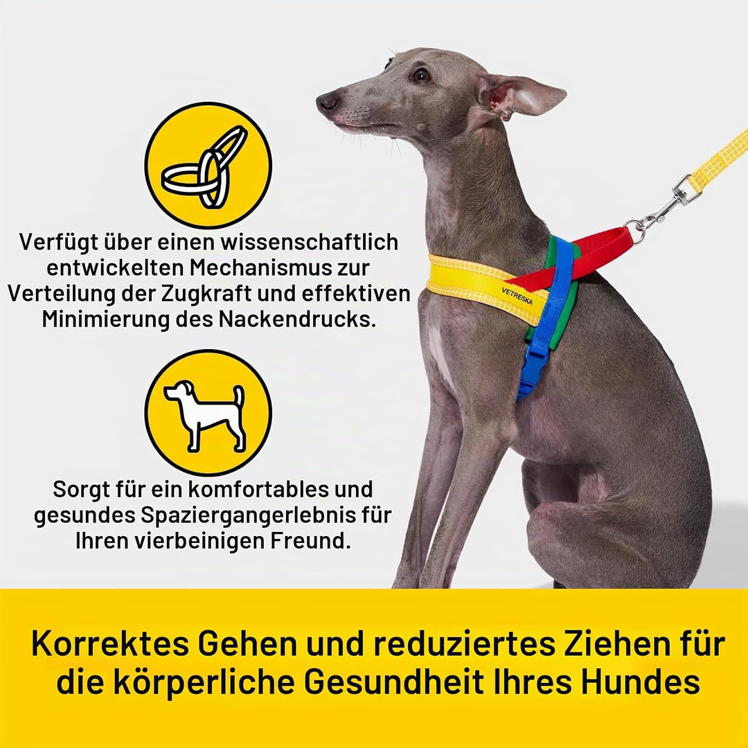 VETRESKA No Pull Hundegeschirr für kleine Hunde, Easy Walk Hundegeschirr und Leine Set, Welpengeschi
