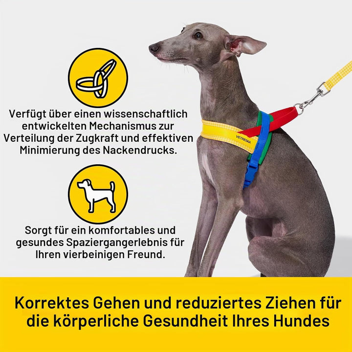 VETRESKA No Pull Hundegeschirr für kleine Hunde, Easy Walk Hundegeschirr und Leine Set, Welpengeschi