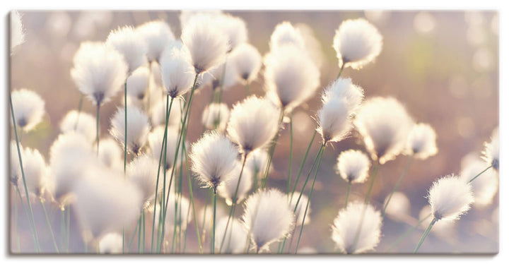 ARTland Leinwandbilder Wandbild Bild auf Leinwand 60 x 30 cm Wanddeko Natur Zauber Idyll Frühling Mo