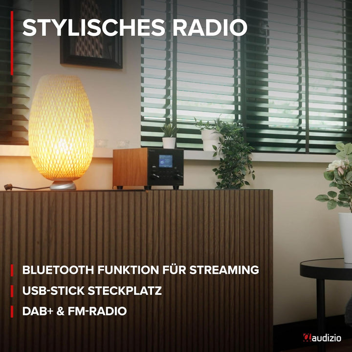 Audizio Vieste - DAB Radio mit Bluetooth, Digitalradio, 60 Watt Lautsprecher, DAB Plus Radio mit USB