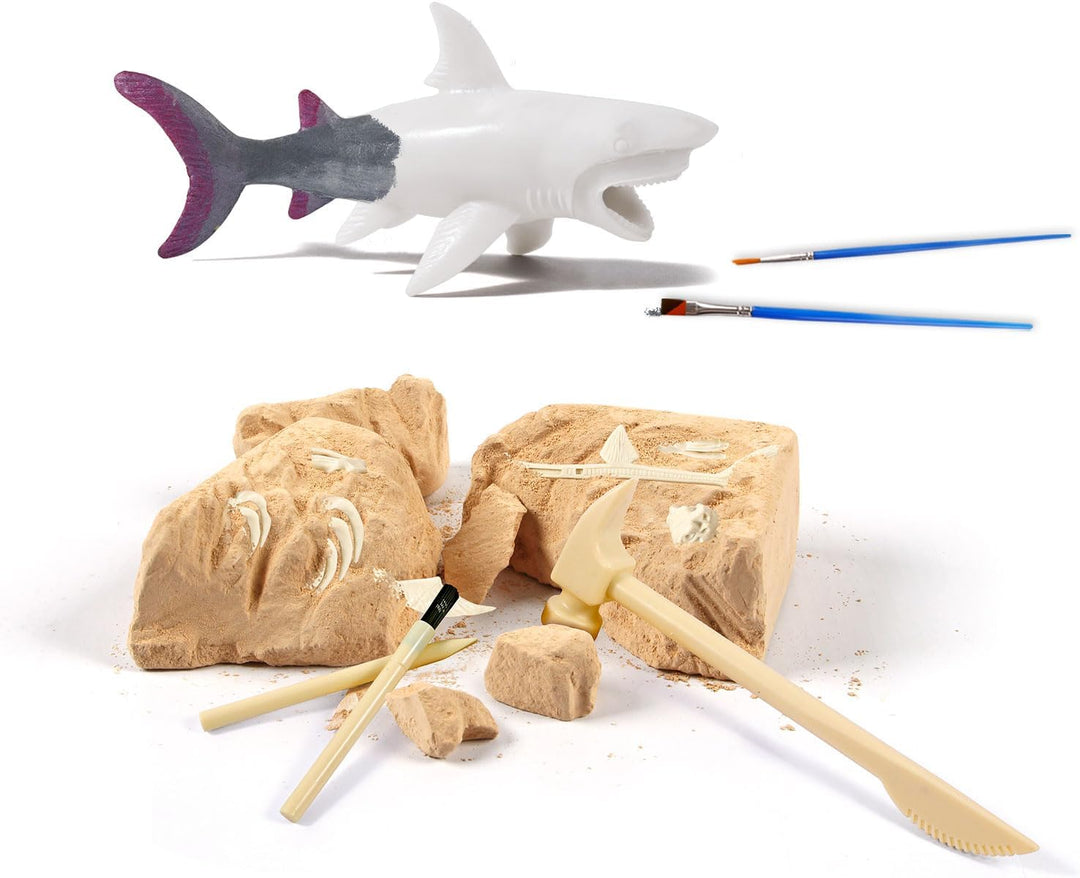 EGGBOX Megalodon Skelett Ausgrabungsset für Kinder – 2-in-1 Dig & Build Kit mit Graffiti-Mammut, Exp