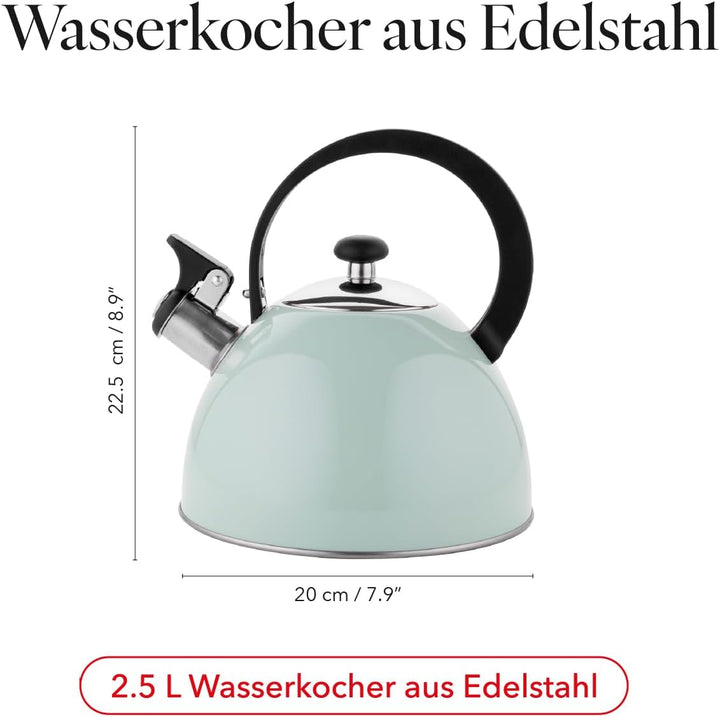 FLORINA Wasserkessel (2 l) I Edelstahl Teekessel BRILLO I Flötenkessel mit Bakelitgriff I Kratzfeste