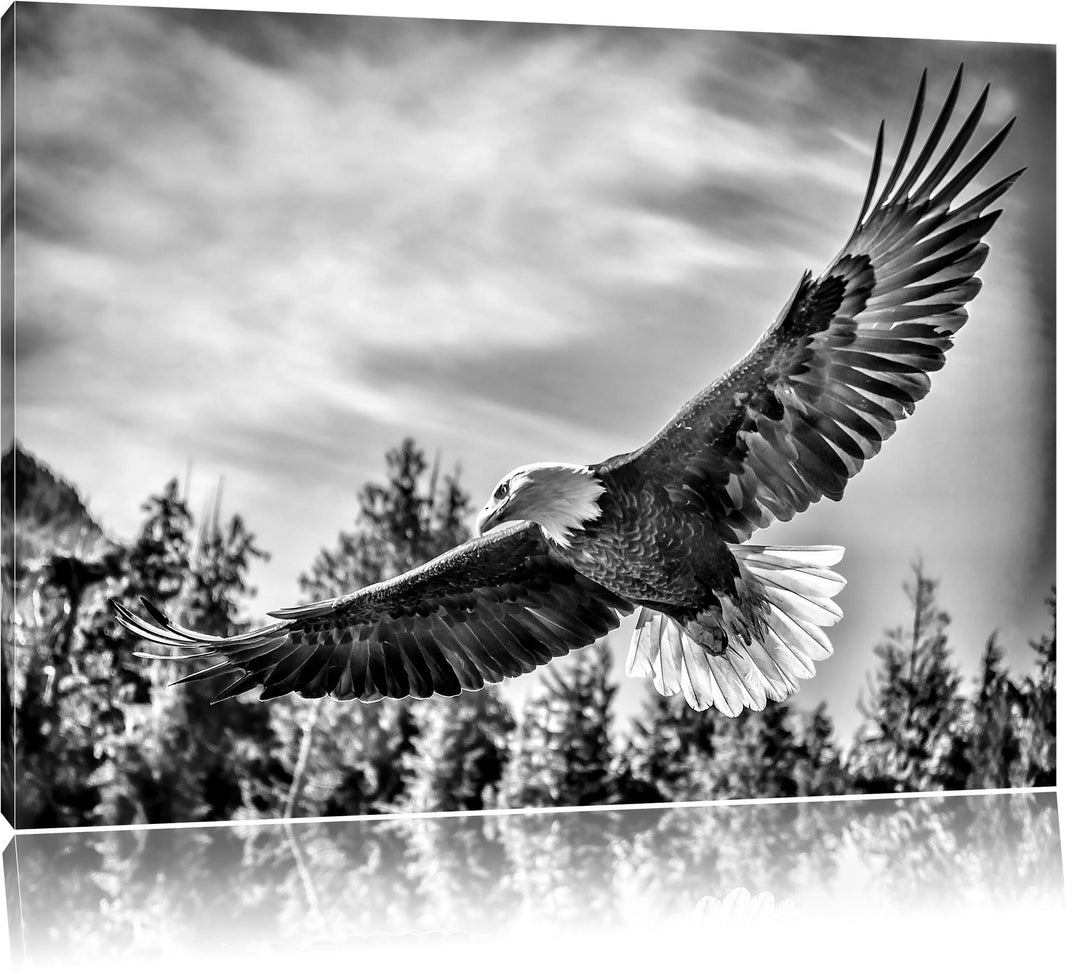 Monocrome, Adler, Format: 100x70 auf Leinwand, XXL riesige Bilder fertig gerahmt mit Keilrahmen, Kun