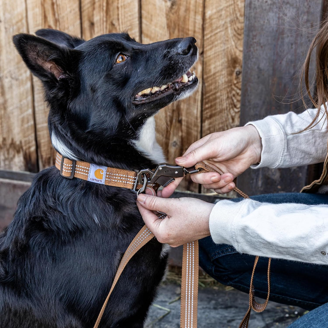 Carhartt Leine mit Zwei Griffen, strapazierfähiges 600-Denier-Gewebe mit verstellbaren D-Ring-Metall